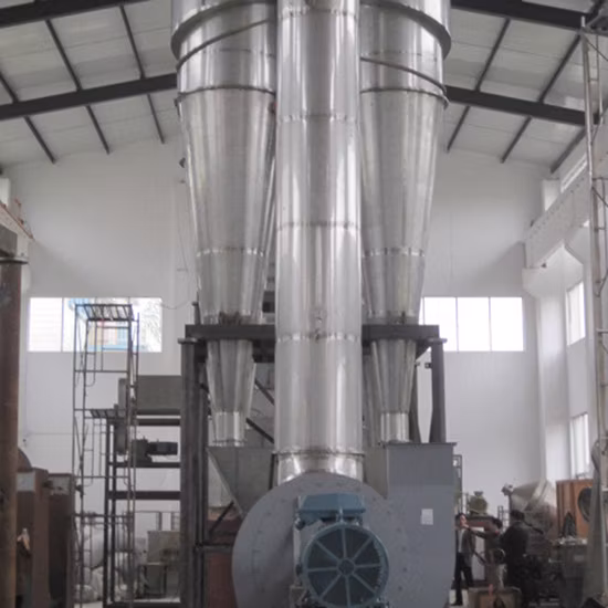 Low Energy China Quality Spin Flash Dryer (XSG